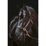 HKM Cabezada de cuero -Rosegold-