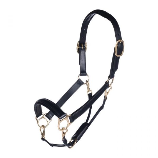 HKM Cabezada de cuero -Gold-