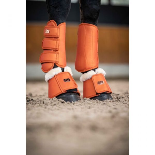 HKM Protectores doma -Edinburgh- frente