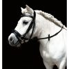 HKM Cabezada -Mini-Shetty- - Imagen 2
