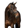 HKM Cabezada -Sofia- - Imagen 11
