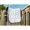 HKM Mantilla -Dressage Competition- - Imagen 2