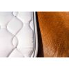 HKM Mantilla -Dressage Competition- - Imagen 5