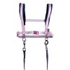 HKM Harness -Funny Horses Hearts- - Imagen 3