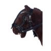HKM Cabezada -Cuddle Pony- - Imagen 4
