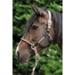 HKM Cabezada -Carlotta-