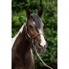 HKM Cabezada -Carlotta- - Imagen 5