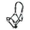 HKM Cabezada -Carlotta- - Imagen 11