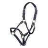 HKM Cabezada -Carlotta- - Imagen 15