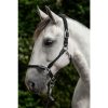HKM Cabezada -Carlotta- - Imagen 16