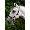 HKM Cabezada -Carlotta- - Imagen 17