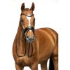 HKM Cabezada -Ira- - Imagen 22