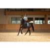 HKM Polo -Harbour Island- - Imagen 17