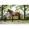 HKM Polo -Catherine- - Imagen 17