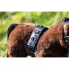 HKM Set cinchuelos -Cuddle Pony- - Imagen 4