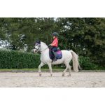HKM Mantilla -Aymee-