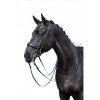 HKM Cabezada doble -Grace- - Imagen 2