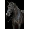 HKM Cabezada doble -Grace- - Imagen 4