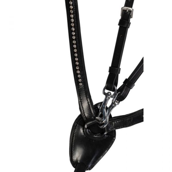 HKM Pechopetral -Dana-