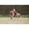 HKM Mosquero -Polly- - Imagen 5