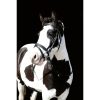 HKM Cabezada -Lou- - Imagen 9