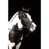 HKM Cabezada -Lou- - Imagen 7