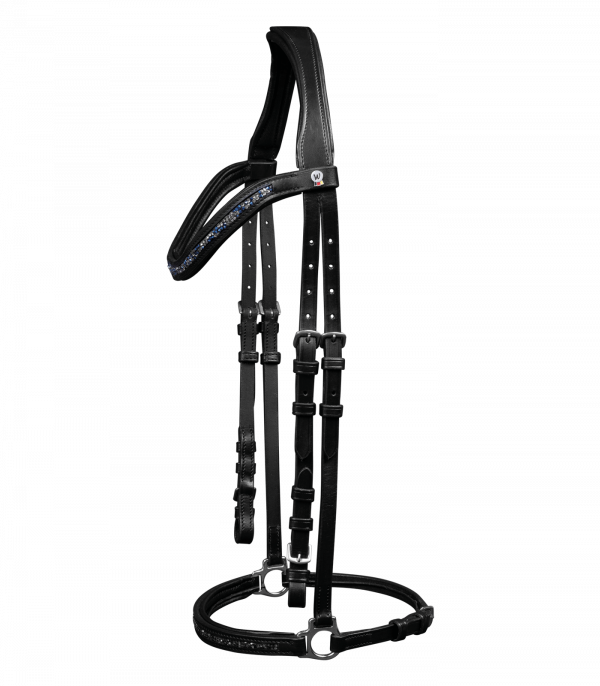 Brida Island Ice negro/azul