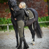 Pantalones de equitación Fenja caqui - Imagen 2