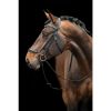 HKM Cabezada -Carolin- - Imagen 3