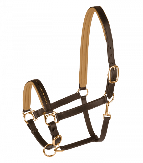 Cabezada de cuero Diamond STAR marrón/oro
