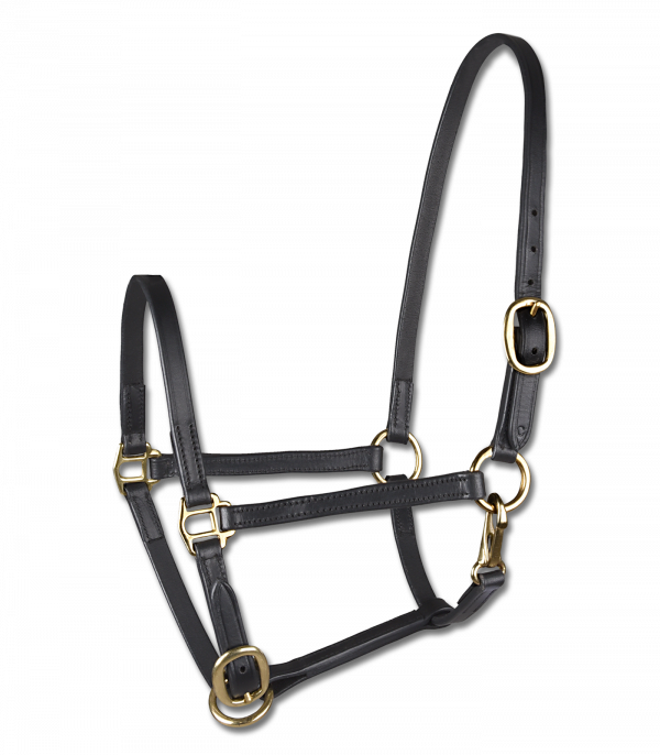 Cabezada para presentar potros STAR, cuero negro