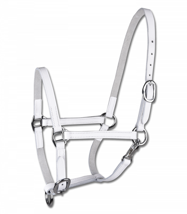 Cabezada para presentar potros STAR, cuero blanco