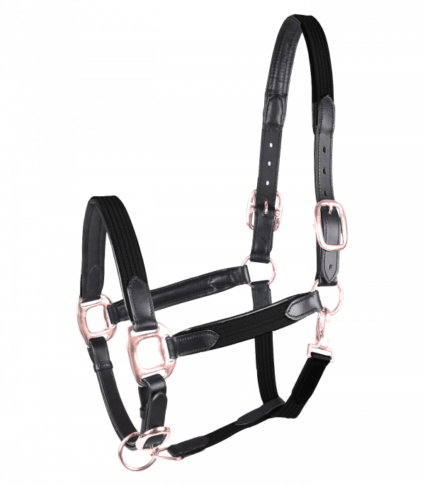 Cabezada STAR MIX negro/oro rosa
