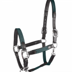 Cabezada STAR MIX verde abeto/plata