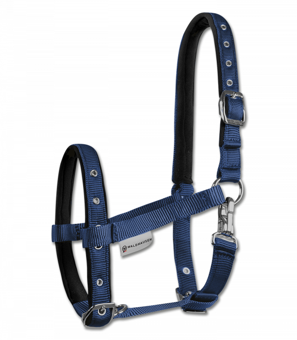 Cabezada para potro Comfort azul oscuro
