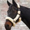 Cabezada Cozy crema/argento - Imagen 2