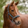 Cabestro Breath azul tiza - Imagen 2