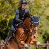 Casco de equitación H24 Lady shine de SWING negro shine, mate - Imagen 9