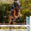 Casco de equitación H24 Lady shine de SWING negro shine, mate - Imagen 5