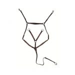HKM Pechopetral con martingala, hebillas plateadas