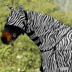 Cuello antimoscas Zebra negro/blanco