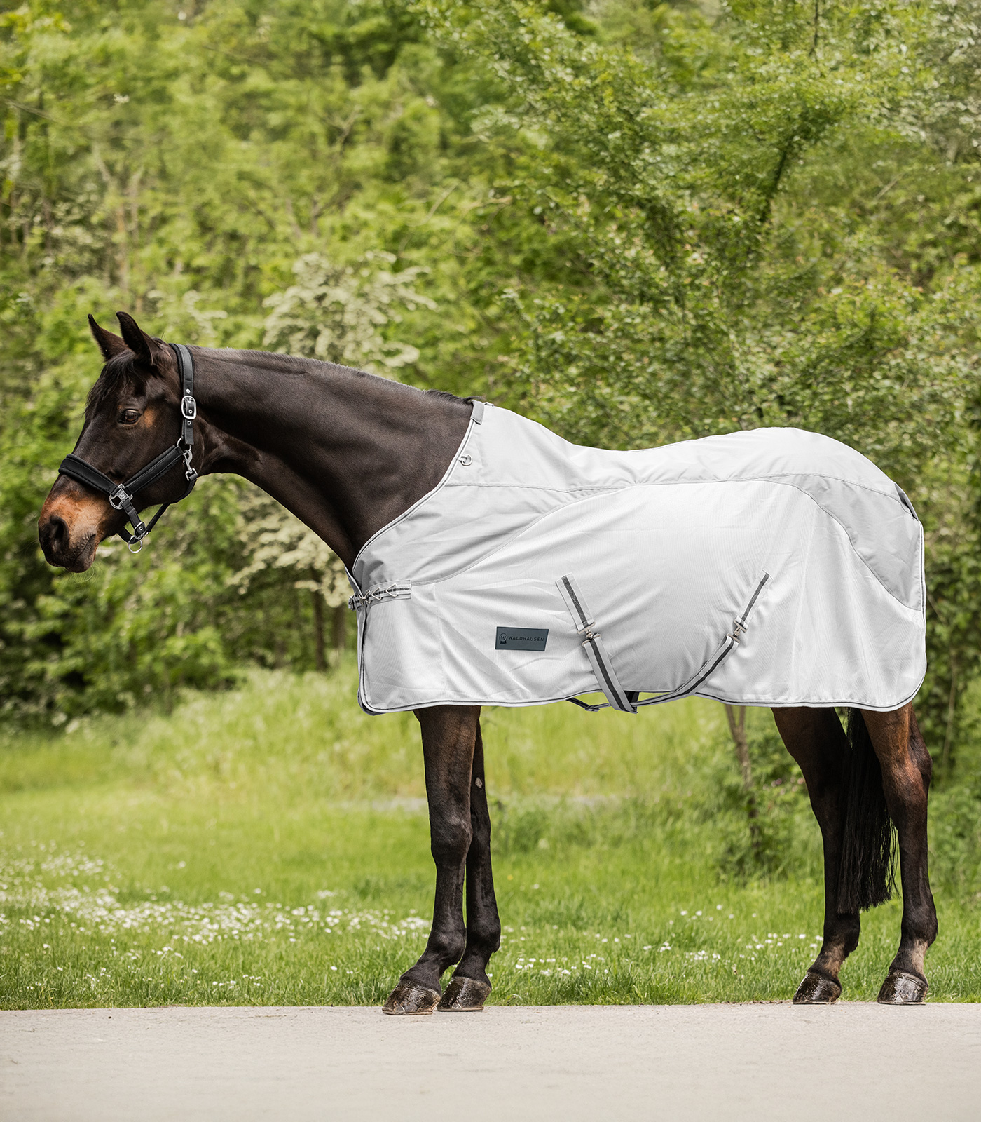 PROTECT Manta chubasquero con mosquero gris plata/gris