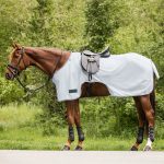 Manta de paseo con mosquero PROTECT gris plata/gris