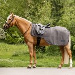 Manta de paseo con mosquero COMFORT gris