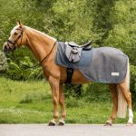 Manta de paseo con mosquero COMFORT azul tiza