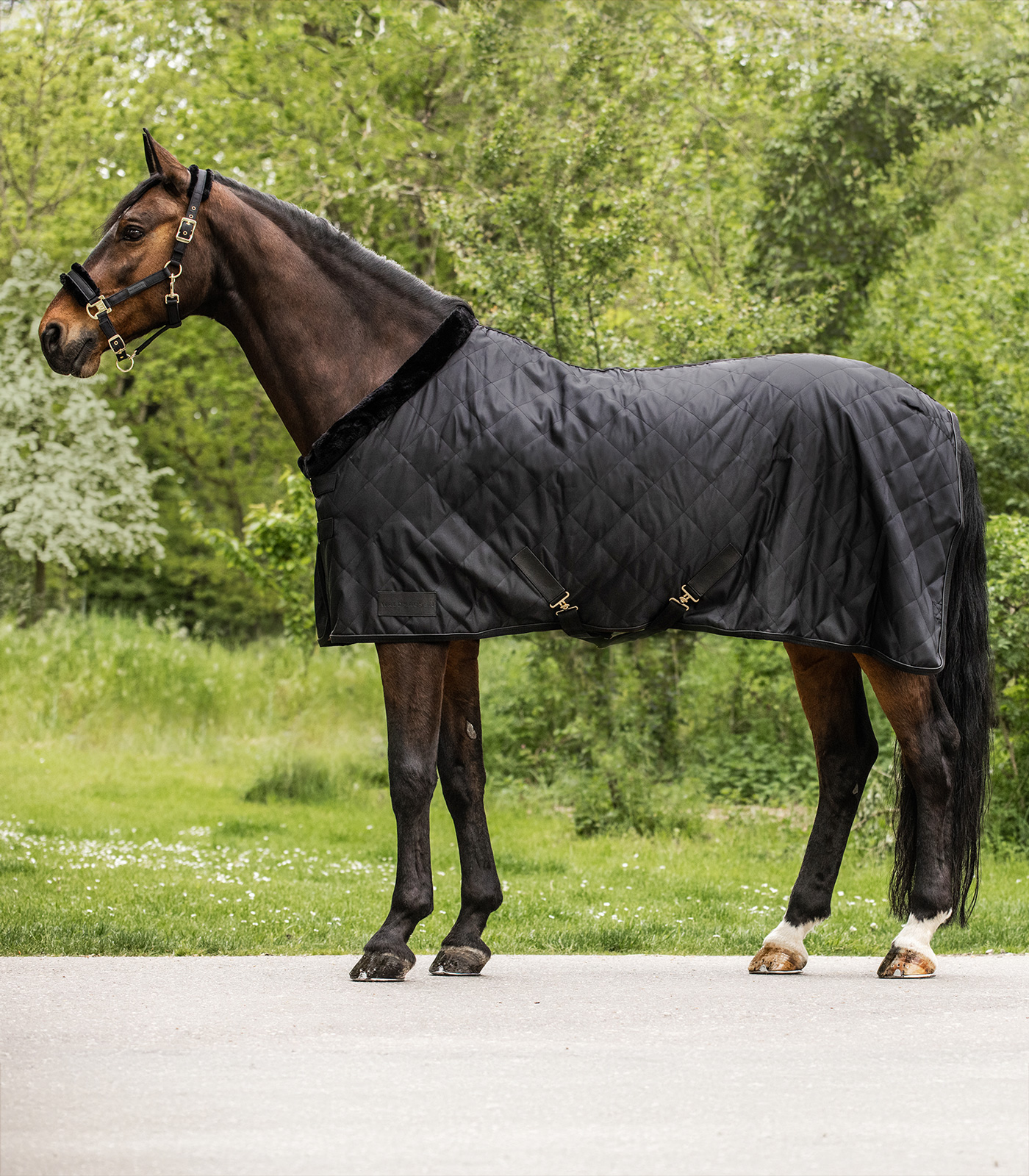 Manta de transporte EXCLUSIVE, 50 g negro - Imagen 4