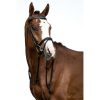 HKM Cabezada de equitación -Economic- - Imagen 2