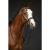 HKM Cabezada de equitación -Economic- - Imagen 5