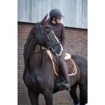 HKM Mantilla -Golden Gate Bit-