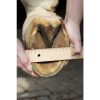 HKM Bota para casco - Imagen 2